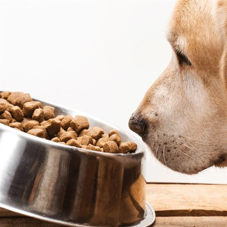 Best Fresh Dog Food (4)(001)