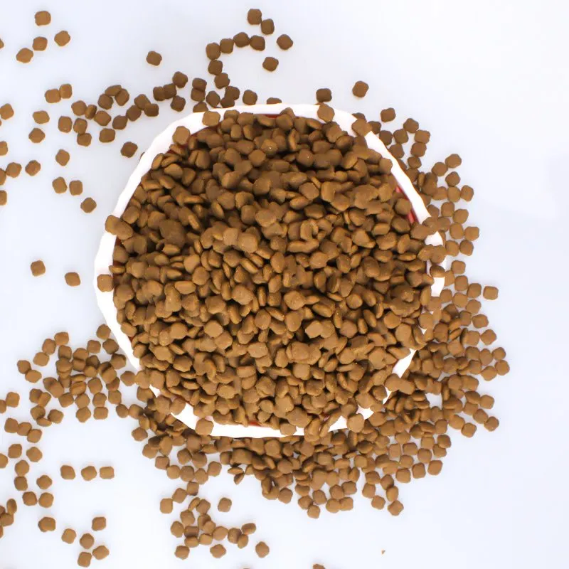 อาหารสุนัขโภชนาการที่ดีที่สุด